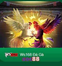 soc88